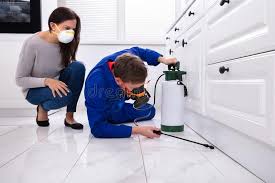 Best Pest Prevention Services  in Kinsey, AL